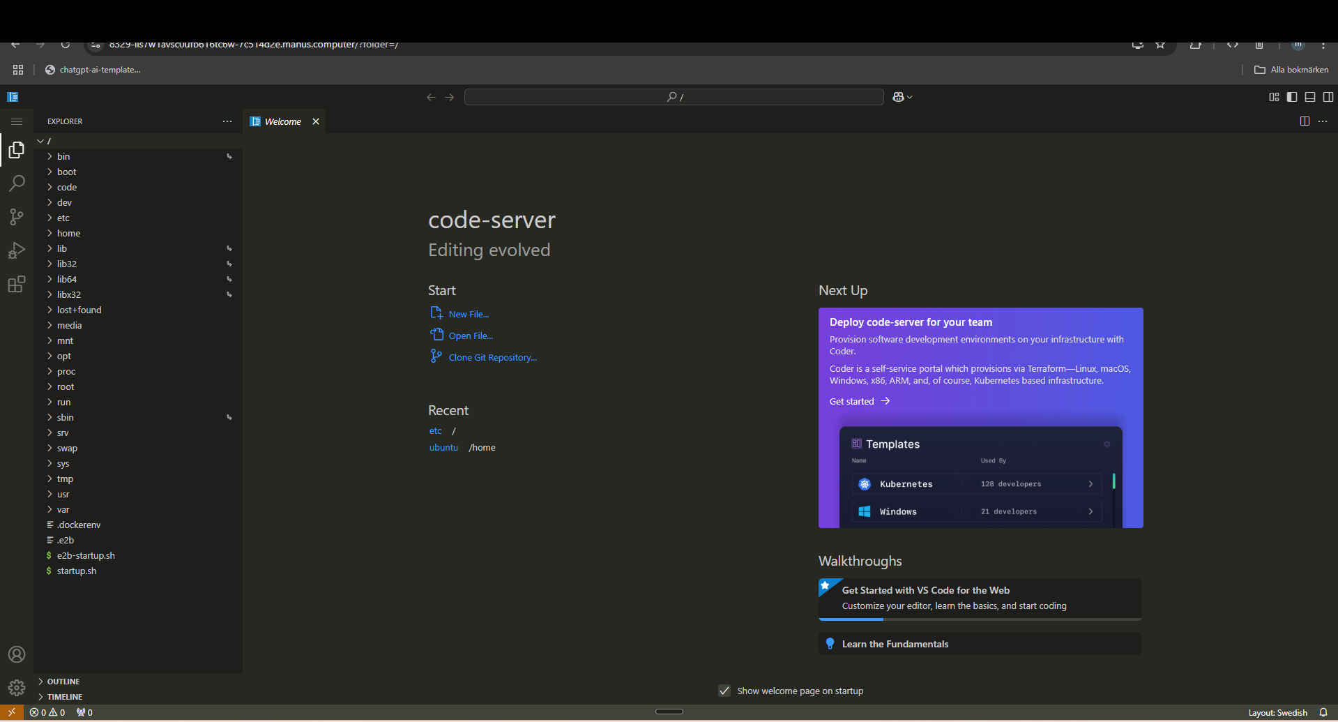 Screenshot showing code-server access to root directory